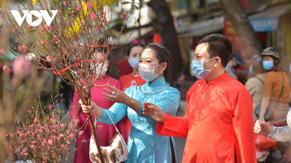 Hanoi gears up to open 91 spring flower markets ahead of Tet